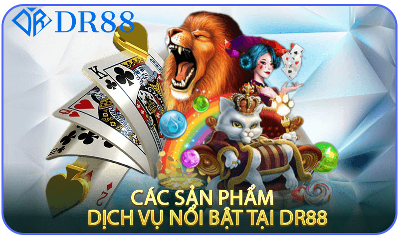 Các Sản Phẩm Và Dịch Vụ Nổi Bật Tại DR88