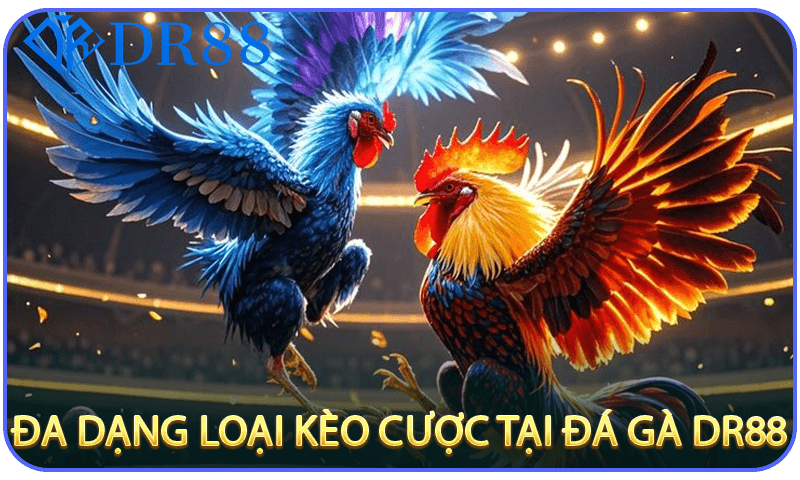 Đa Dạng Loại Kèo Cược tại Đá Gà DR88