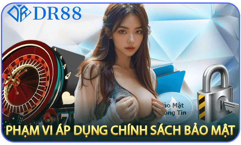 Phạm Vi Áp Dụng Chính Sách Bảo Mật Tại DR88